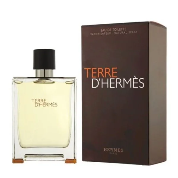 Terre D&rsquo;Hermes, Eau de Toilette for Men - 100ml